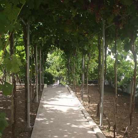 Casatiomanel Villa Amiais de Baixo Ngoại thất bức ảnh